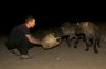 <p>Balázs Buzás feed wild Spotted Hyenas (<em>Crouta crocuta</em>) near the Fallana Gate in Harar, ETHIOPIA</p>